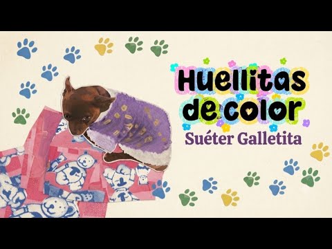 ​Huellitas de Color🐾🌈 | Video Oficial @Galltita2