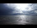 Дождь в Жигулях, Муравьиные острова, 18 мая 2022 года. Автор ролика Меркулова Наталья.