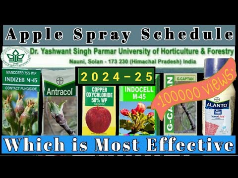 Apple Spray Schedule 2020 Insecticide Fungicide With Complete New Feature Live Updates Youtube