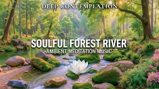 Peaceful Forest River Contemplation ~ Deep Piano Guitar Cello Music for Inner Peace