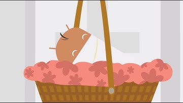 Android One: New Baby #BundleOfJoy