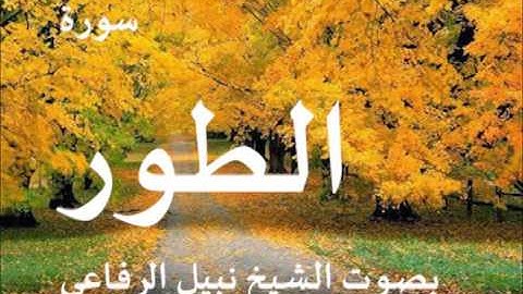 سورة الطور بصوت الشيخ   نبيل الرفاعي 52
