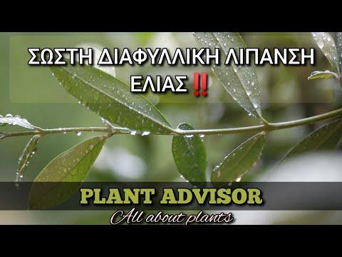 Βίντεο: Ψευδάργυρος για φυτά - Διόρθωση ανεπάρκειας ψευδαργύρου στα φυτά και επιπτώσεις υπερβολικής ποσότητας ψευδαργύρου