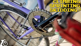 Why Is This the Most Popular Fixed Gear Ratio?