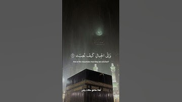 ﴿ أفلا يَنظرُونَ إلَى الإِبلِ كيف خُلِقت ﴾ سوره الغاشيه، عبدالرحمن مسعد #قرآن #ارح_قلبك #قران_كريم