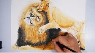 Cómo dibujar un león realista - speed drawing realistic lion