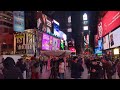 Don Diego visiting Time Square in NYC