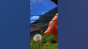 Humko tere Bina jeena to sikha🥺❤ | Love Status❤ #instagram #trending #love #aesthetic #shorts #reels