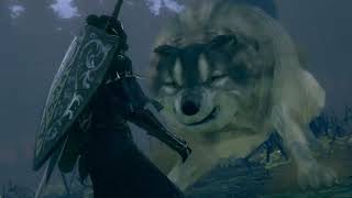 Dark Souls walkthrough part 024