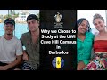 Why we chose to study at the uwi  cave hill campus in barbados