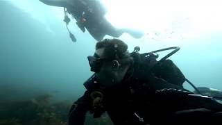 DIPSI 2 - Deep Dive Matheson Bay 2018
