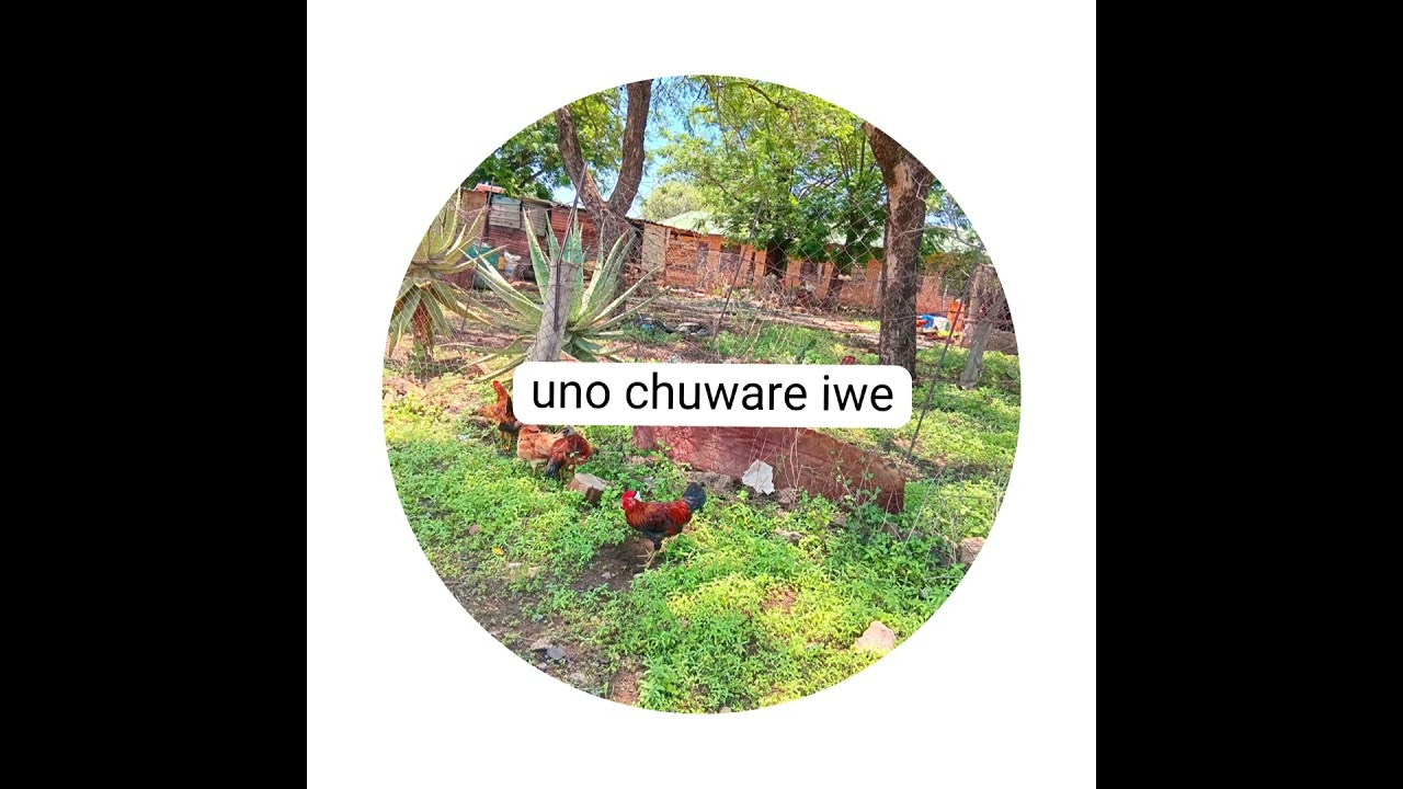 KING MAGUMALETI UNO CHUWARE IWE OFFICIAL