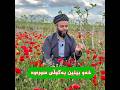 اکسپلور خەون گوڵی سور و جوان لەخەودا Mountains اکسپلور خەون گوڵی سور و جوان لەخەودا Mountains