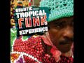 Quantic presents Tropical Funk Experience