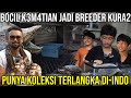 Bocil k3m4tian jadi breeder kura2 punya koleksi terlangka di indo nino turtle king audreya