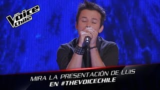 Video thumbnail of "The Voice Chile | Luis Pedraza - Wrecking Ball"