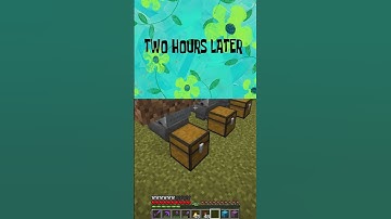 Collecting a Double Chest of Every Item Part 22