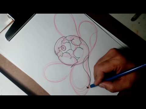 How to draw peony ( วาดดอกโบตั๋น )