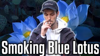 Smoking Blue Lotus for the First Time || Live Experience