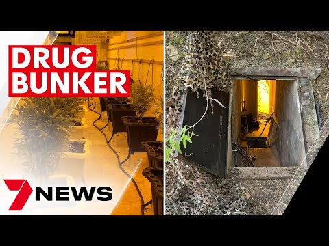 Father and son accused of running an underground drug bunker at their coromandel east home | 7news