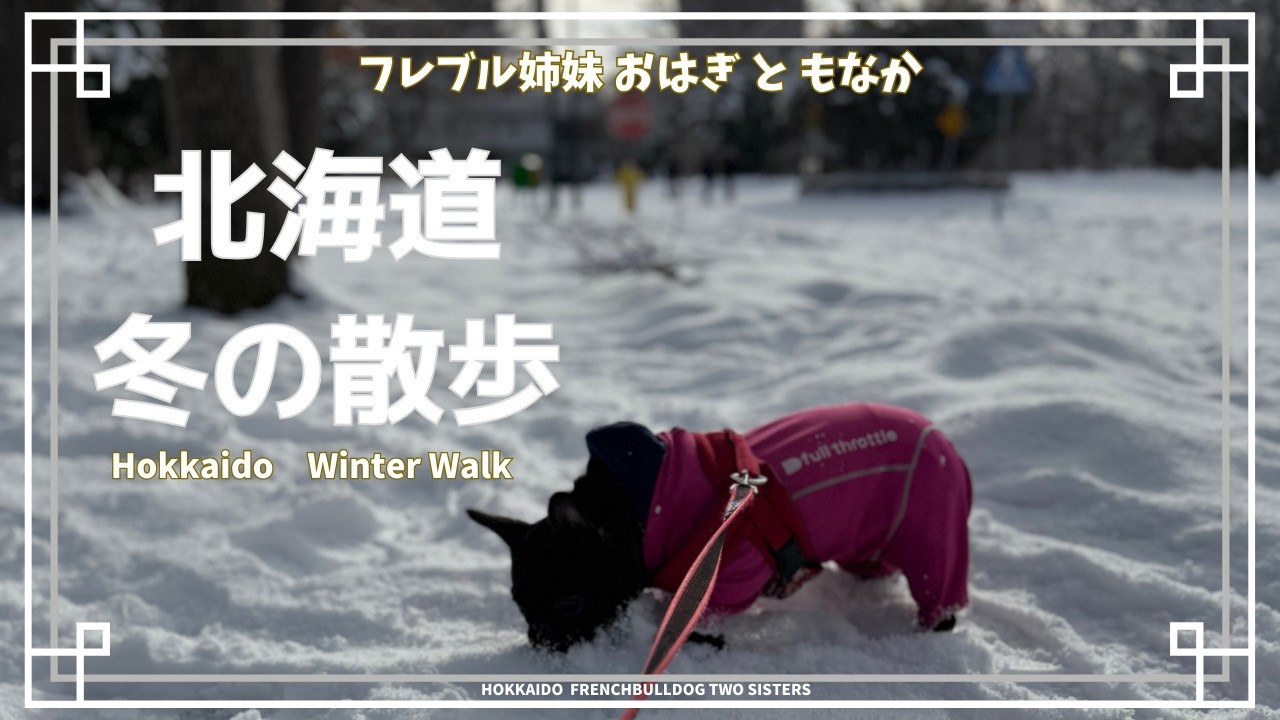 北大の雪原を歩く｜おはぎと冬の北海道散歩、そして姉妹の日常／Walking Across Hokkaido University's Snowfields 