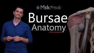 ANATOMY OF THE BURSAE OF THE SHOULDER (PART I) | Key Relationships & Updated Concepts