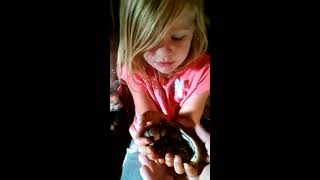 Princess and the Python #2