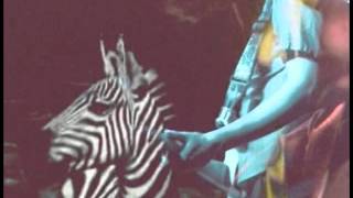 Video thumbnail of "Deerhunter - Spring Hall Convert (Music Video)"