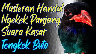 Download Lagu MASTERAN HANDAL NGEKEK PANJANG SUARA DIESEL #tengkekbuto #masterantengkekbuto #isiantengkekbuto MP3 Download Lagu MASTERAN HANDAL NGEKEK PANJANG SUARA DIESEL #tengkekbuto #masterantengkekbuto #isiantengkekbuto MP3