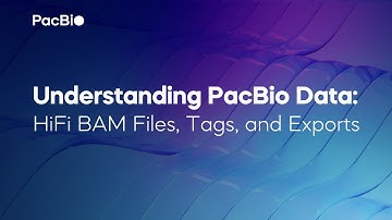Understanding PacBio Data: HiFi BAM Files, Tags, and Exports