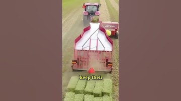 This Bale Handling Machine Turns Loose Hay Into Perfectly Organized Bales