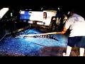 He Was Caught Illegally Transporting a Live Alligator
