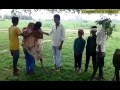 Pagalworld