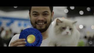 Kelab Kucing Malaysia  Pet Fiesta & International Cat Show 2018  Part 1/4