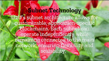 @u2u_network : The Future of Decentralized Technology