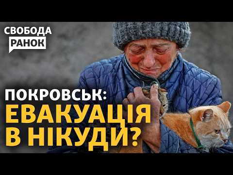 Добряк о ситуации в Покровске с 8:10