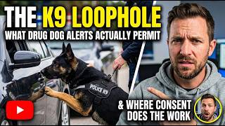 What Drug Dog Alerts Actually Permit — and Where Consent Does the Work