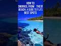 How to Snorkel from the Beach - A Guide to Fiji's #shorts