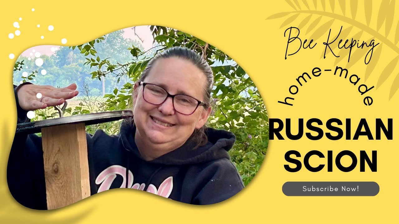 Using scrap materials to build a Russian Scion for the bee yard YouTube