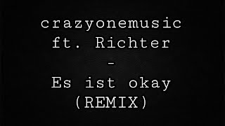 crazyonemusic ft. Richter - Es ist okay (REMIX)