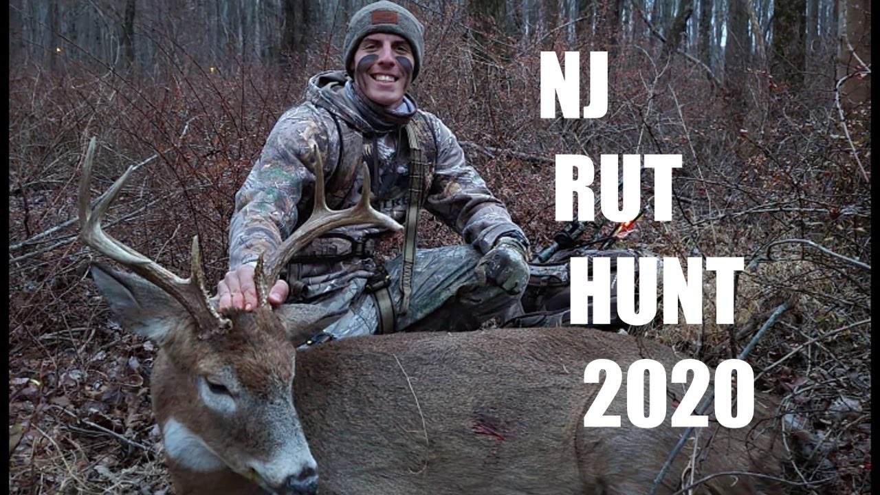 Nj Bow Hunting 2020 8 Pointer (Rut Action)