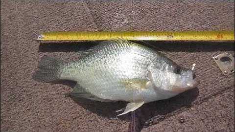 Slip bobber for Crappie, pike,bass and walleye..wmv