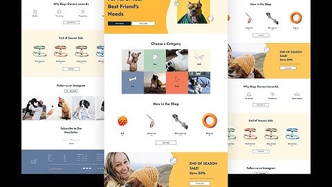Pet Store Website Theme Video