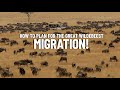 How to Plan the Perfect Great Wildebeest Migration Safari!