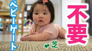 芝があれば高価なベビーゲート/ベビーサークルは不要？検証してみた　If there is grass, baby gate is unnecessary.