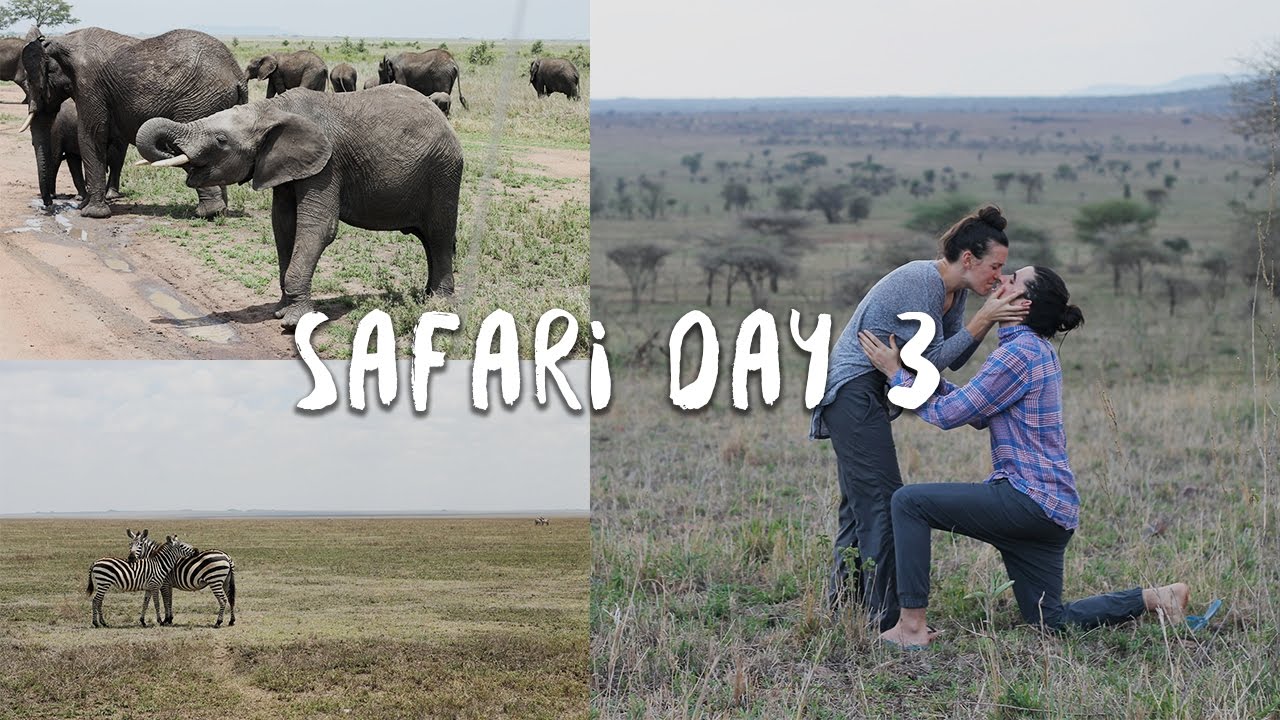 proposal template word BEST. DAY. EVER | Africa Vlog 5