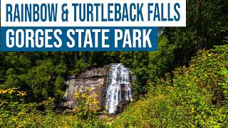 Rainbow Falls & Turtleback Falls | Gorges State Park NC Hiking Guide