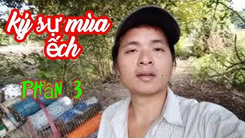 ký sự mùa ếch đồng || Đặt lợp ếch cặp bờ kênh và cái kết bất ngờ √ hưng miền tây vlog || phần 3