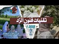 افهمي سايكولوجية الم حاو ر المؤذي و كيف لا يؤثر فيك الكلام المزعج بعد الآن 