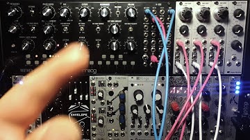 Polyphonic Modular (paraphony)